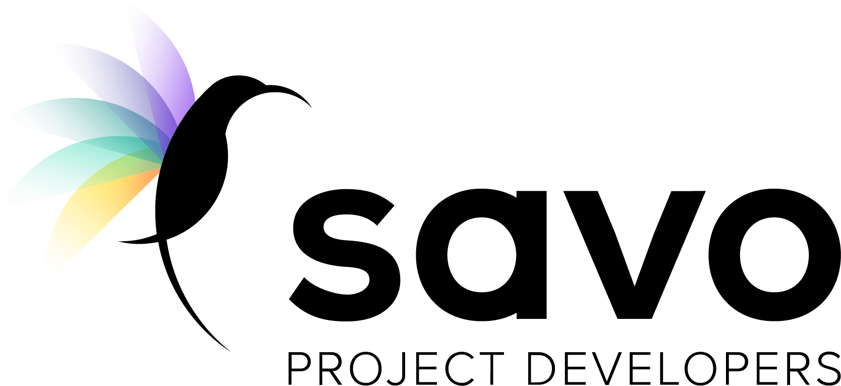 SAVO Project Developers