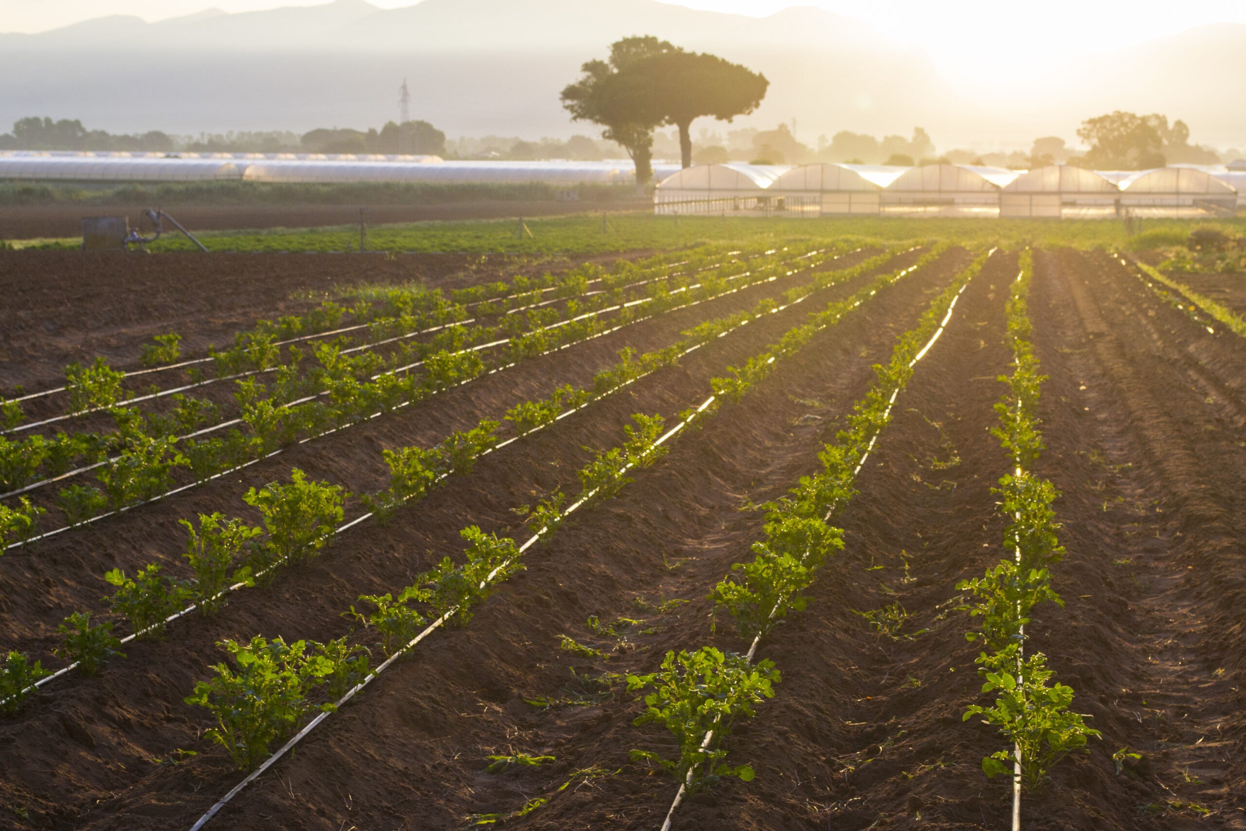 Reducing emissions from fertilizer use