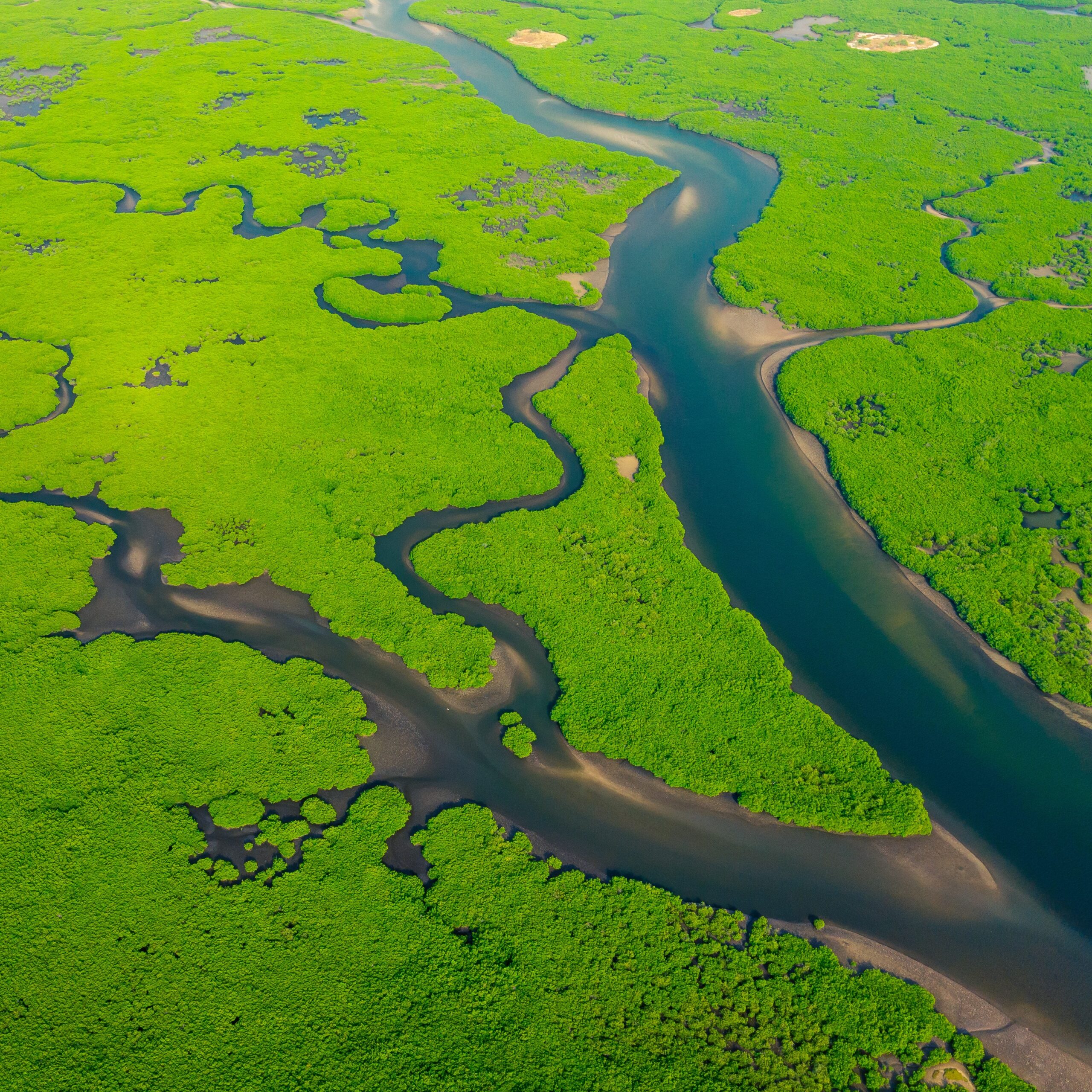 Returns on Resilience: Investing in Adaptation to Drive Prosperity, Growth and Competitiveness