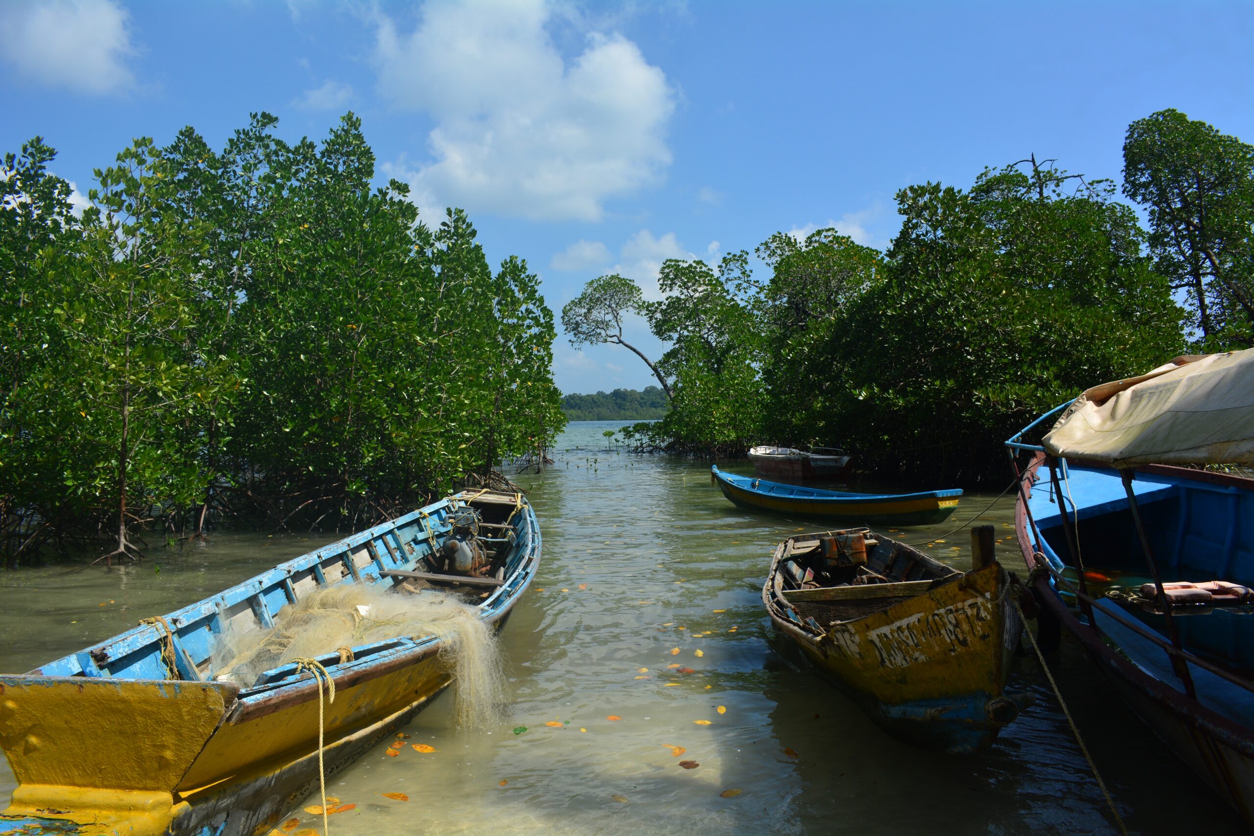 Mobilising capital for critical ecosystems: the mangrove transition curve