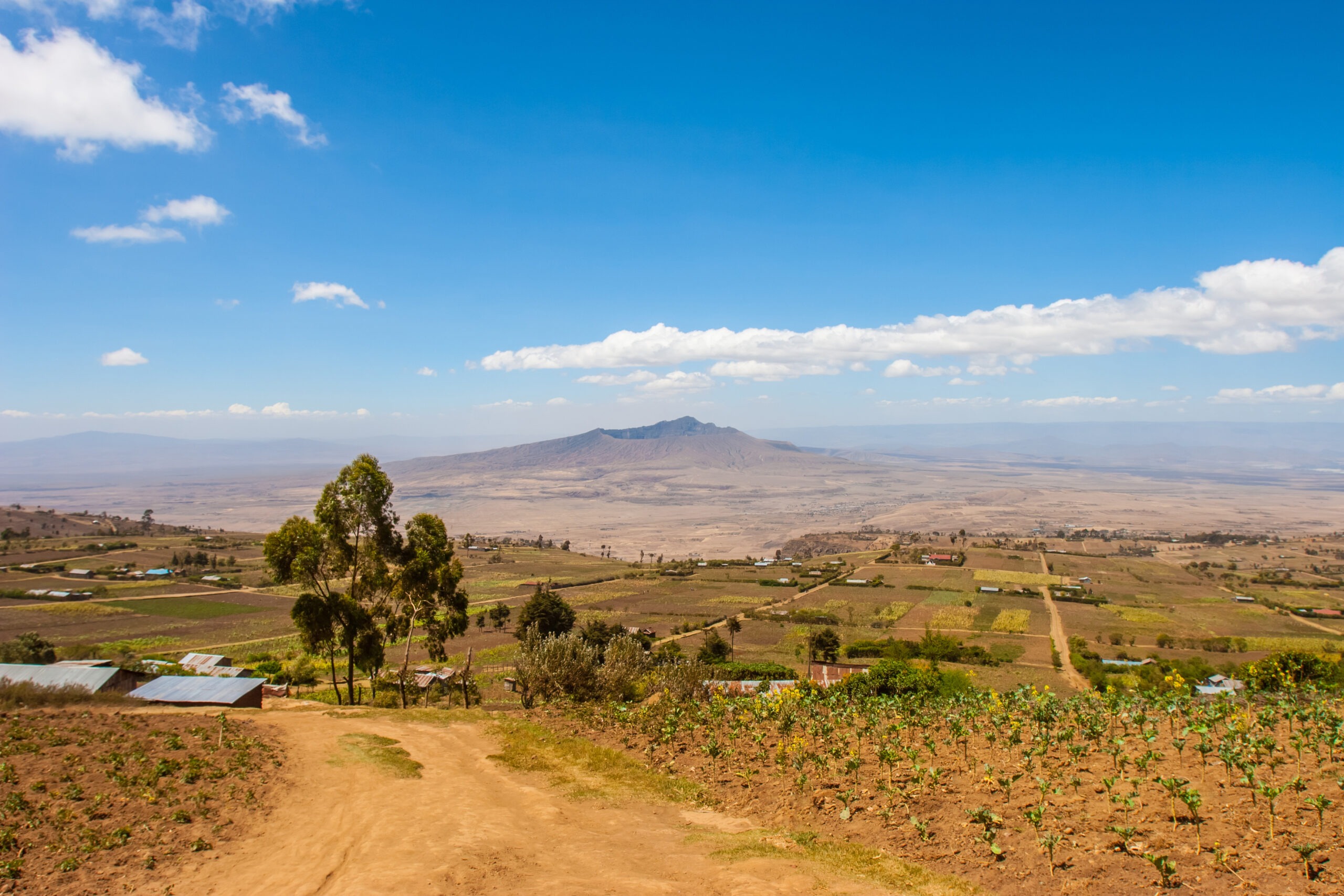 African landscape restoration: Regeneration to deliver market readiness programme