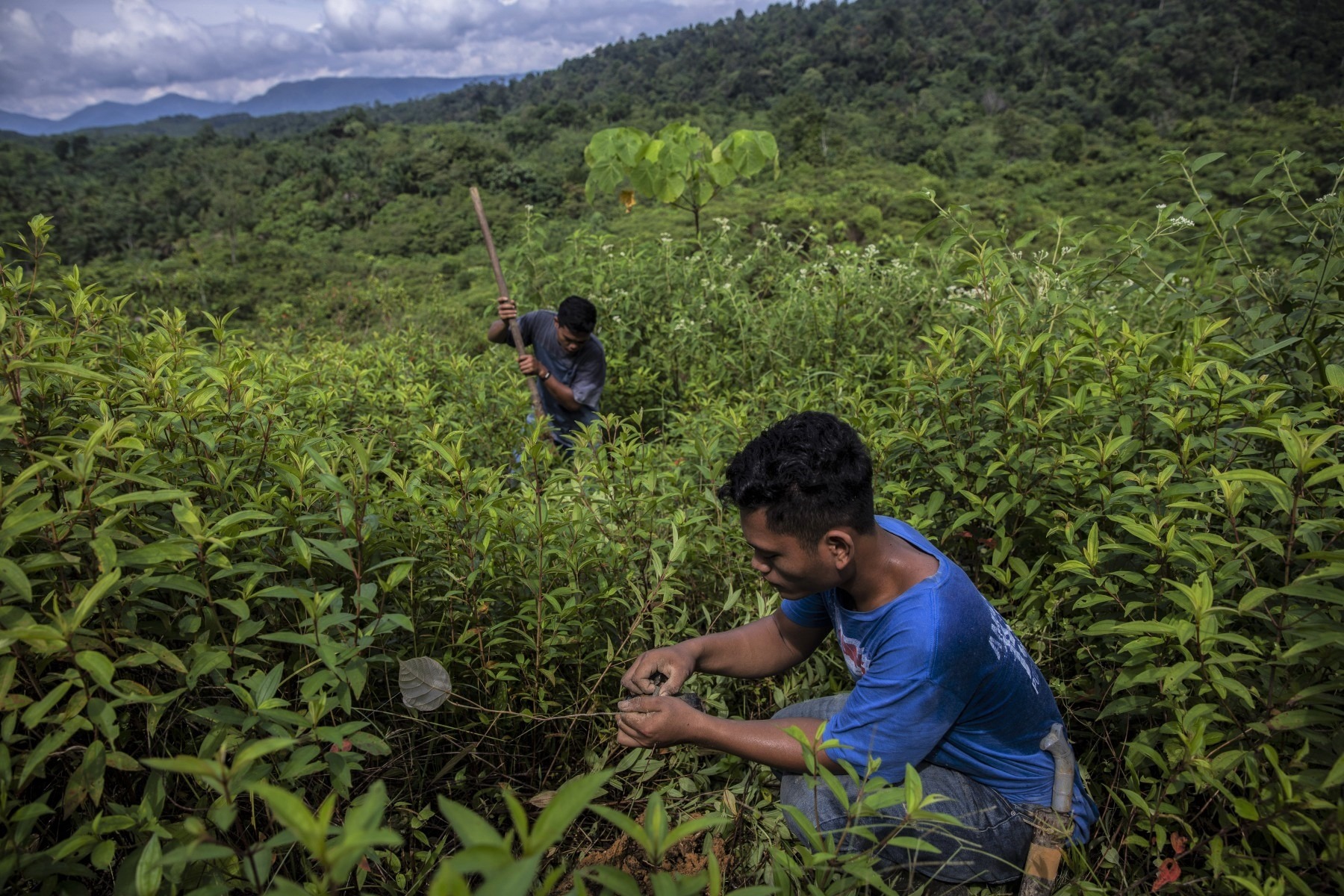 Moving from sustainability to regeneration