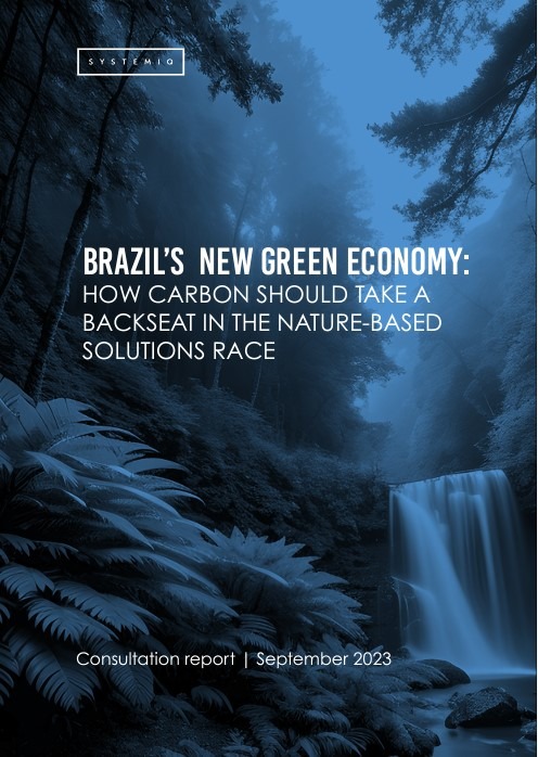 BRAZIL’S NEW GREEN ECONOMY