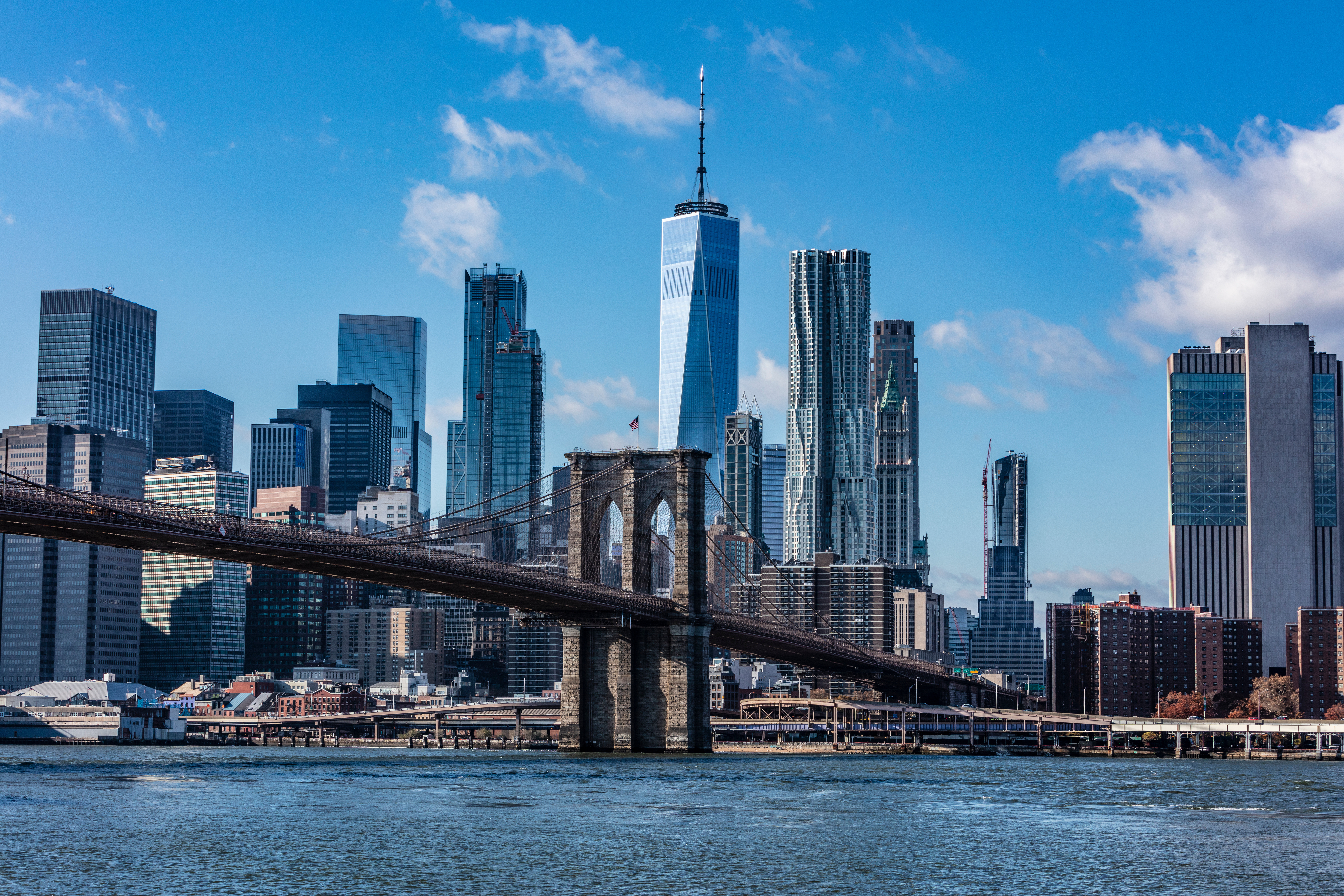 Systemiq opens office in the United States