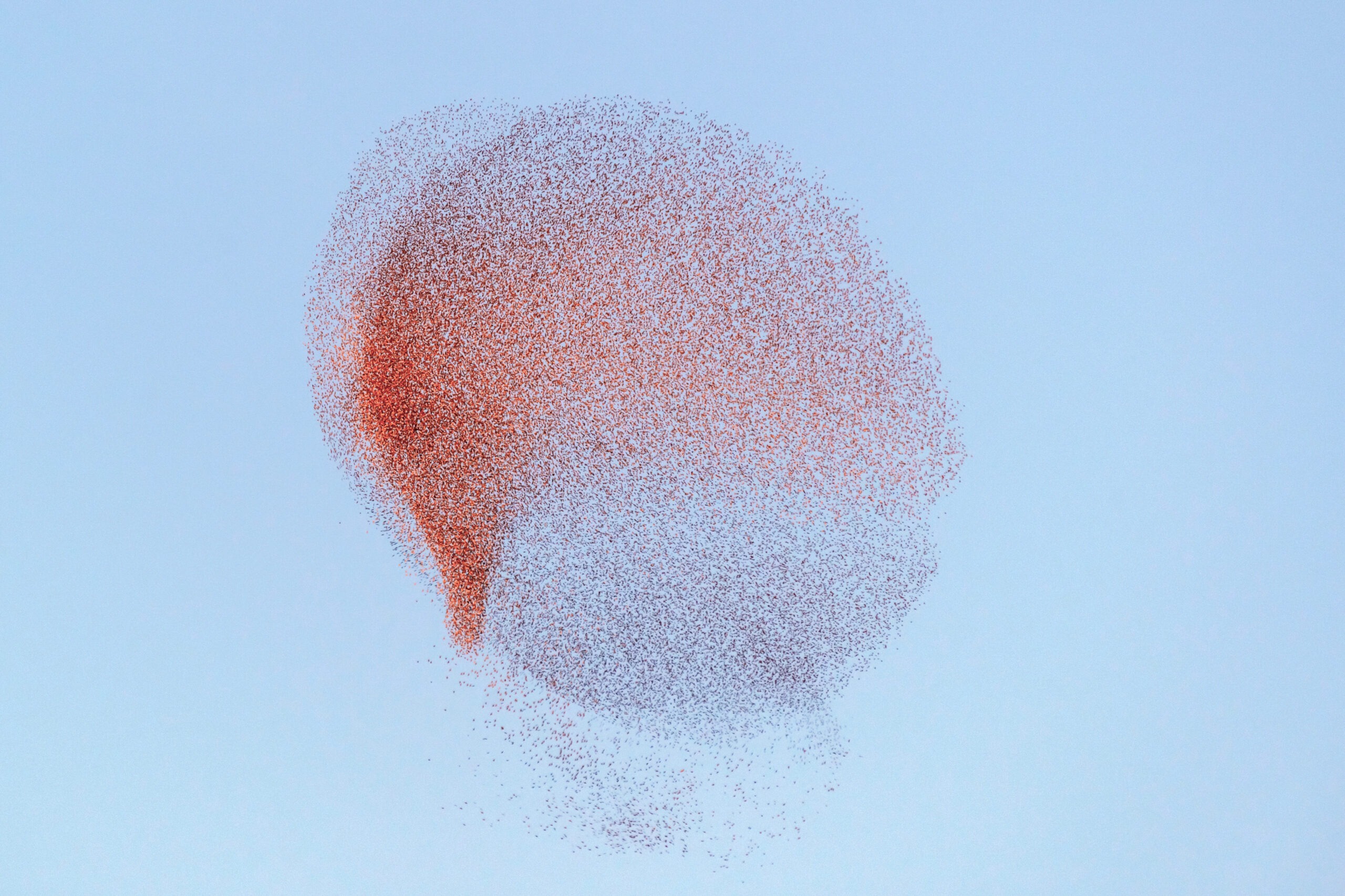 How to change systems – from those who’ve done it