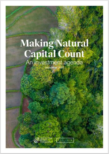 Making Natural Capital Count: An Investment Agenda