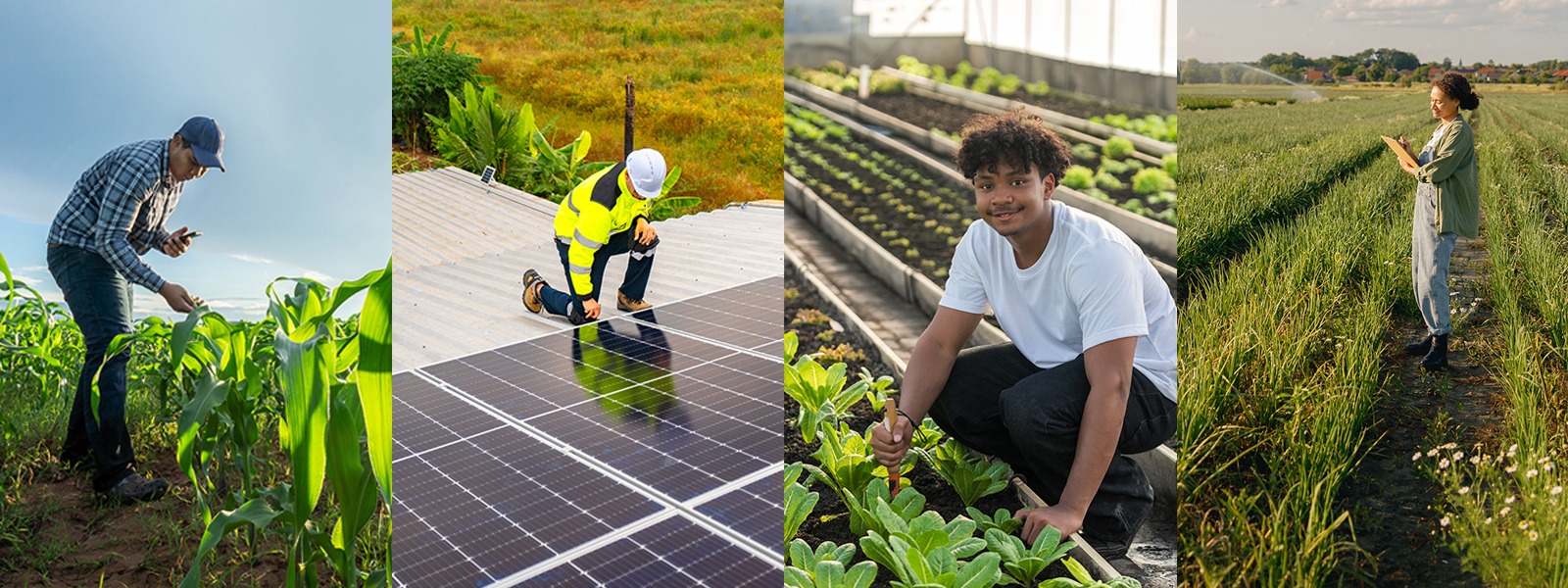 Jobs and skills for the new economy