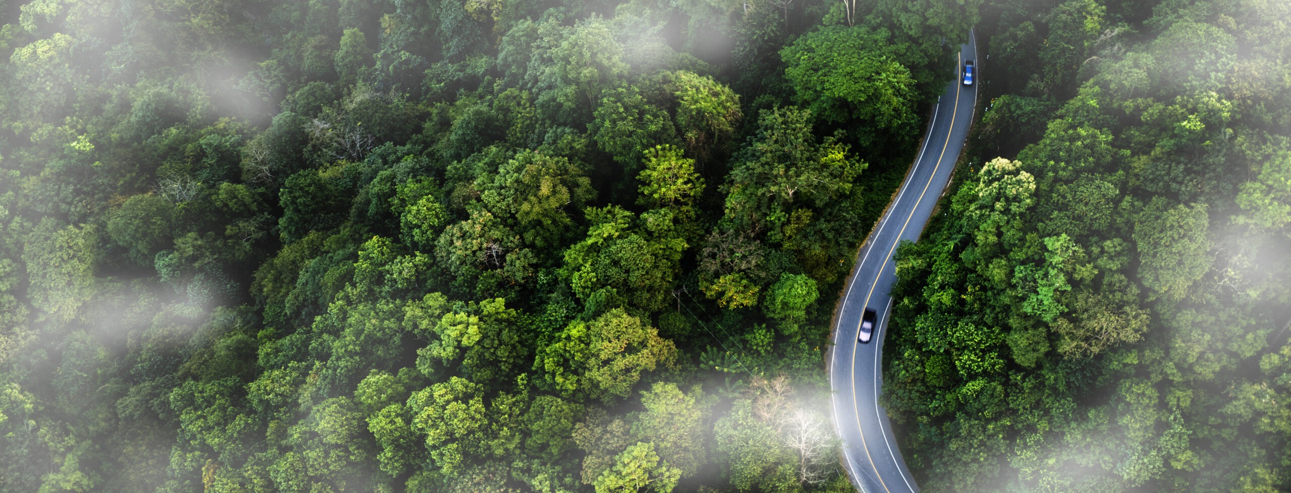 Strengthening Carbon Accounting to Accelerate Decarbonisation