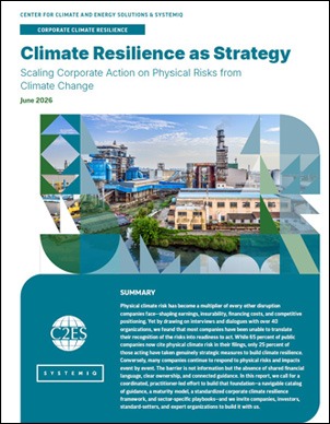 Climate Resilience as Strategy