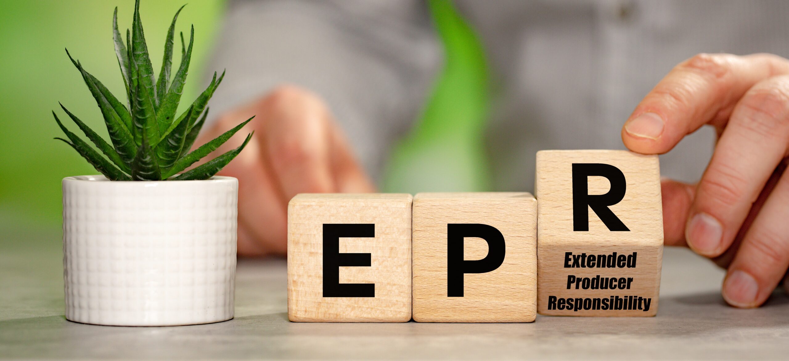 EPR is reshaping packaging. Success depends on the system behind it