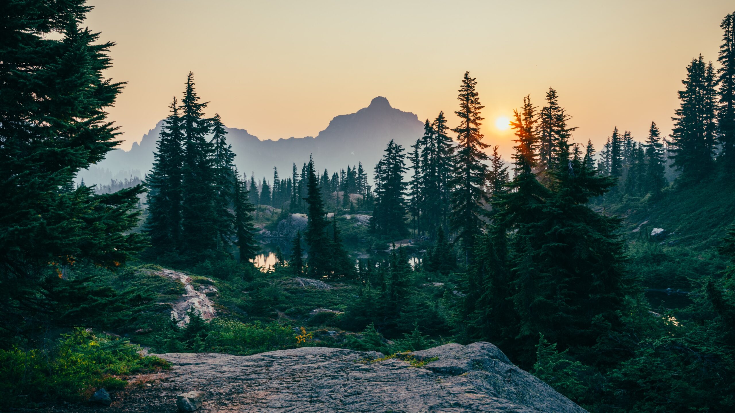 New tools bring circular economy strategies into climate policymaking